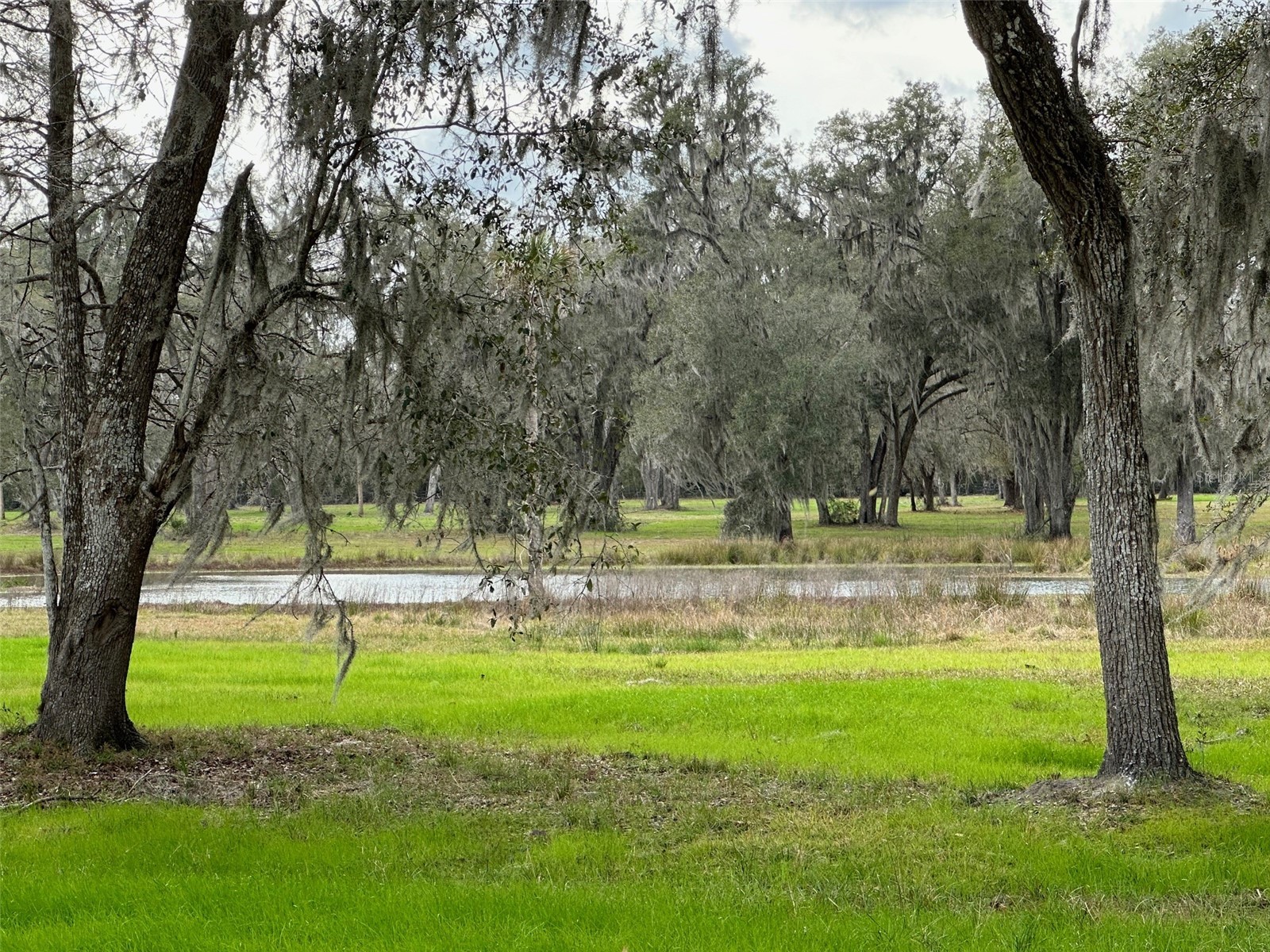 TBD Nw 160th Street Reddick FL 32686 OM716683 image4