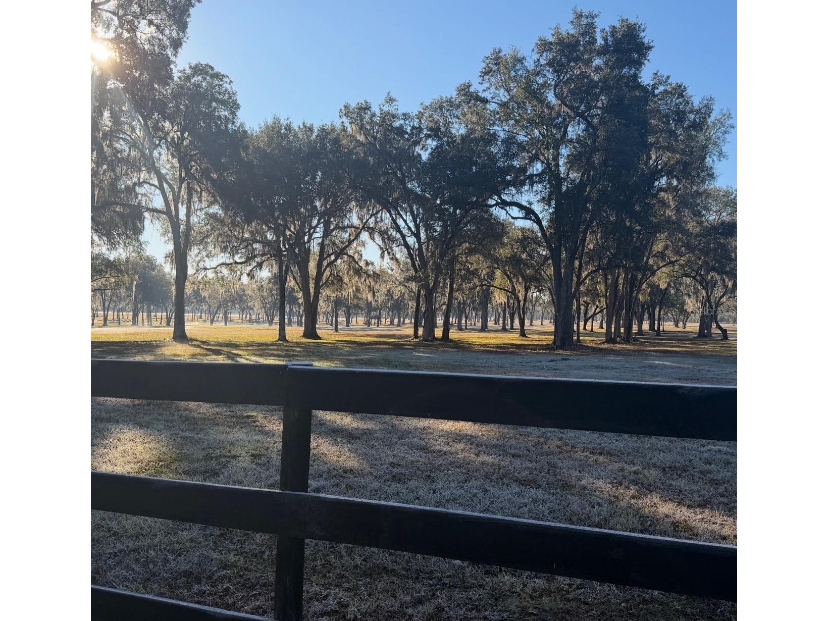 TBD Nw 160th Street Reddick FL 32686 OM716683 image5