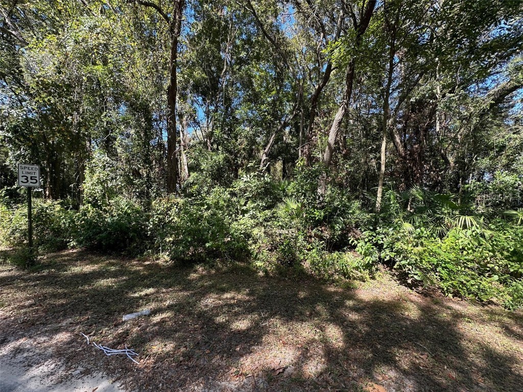 TBD NW 167th Place Trenton FL 32693 GC516800 image1