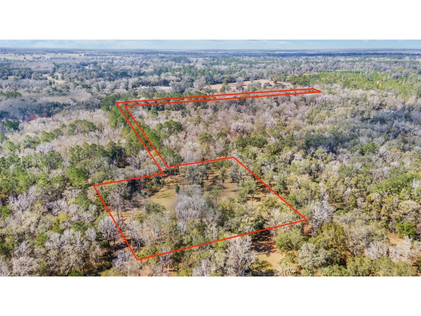 TBD NW 193rd Street Micanopy FL 32667 OM694779 image1