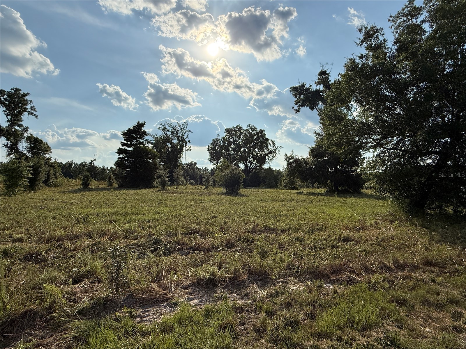 TBD Nw 264th Way High Springs FL 32643 GC524519 image1