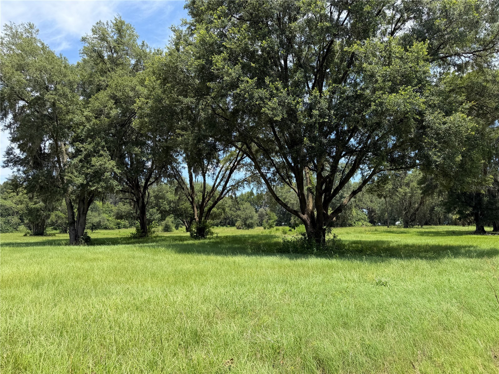 TBD NW 329 Reddick FL 32686 OM718771 image1