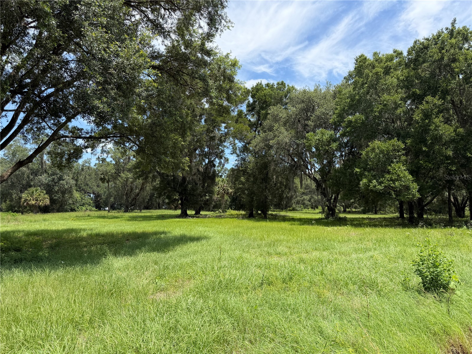 TBD NW 329 Reddick FL 32686 OM718771 image2
