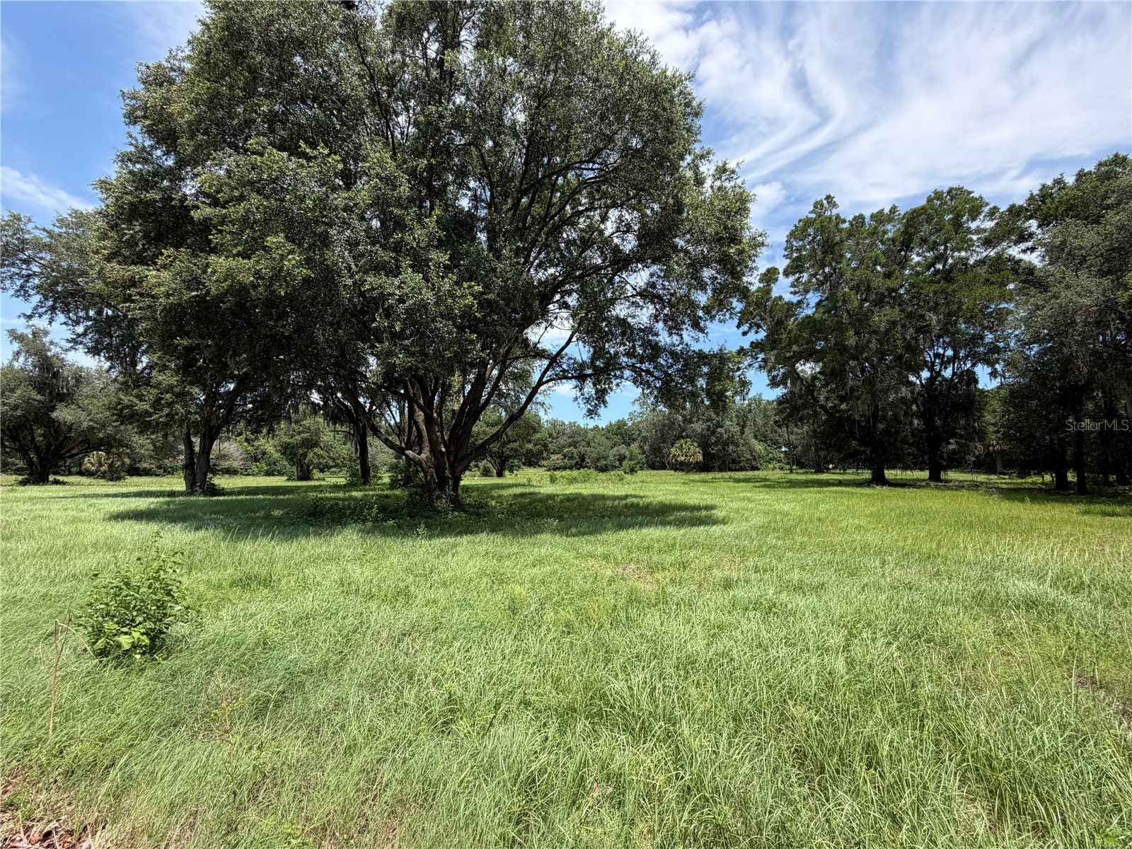 TBD NW 329 Reddick FL 32686 OM718771 image3
