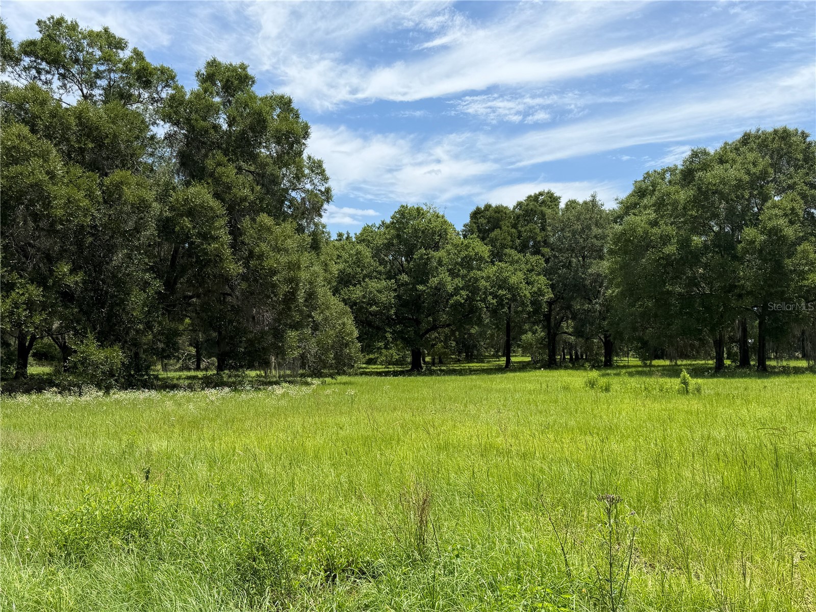 TBD NW 329 Reddick FL 32686 OM718771 image4