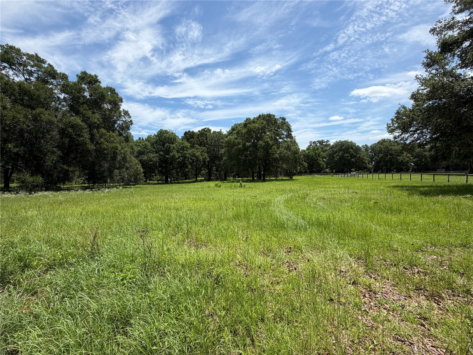 TBD NW 329 Reddick FL 32686 OM718771 image5