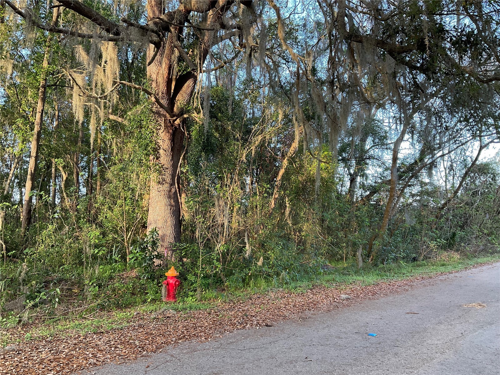 TBD NW 45th Street Ocala FL 34482 OM720832 image1