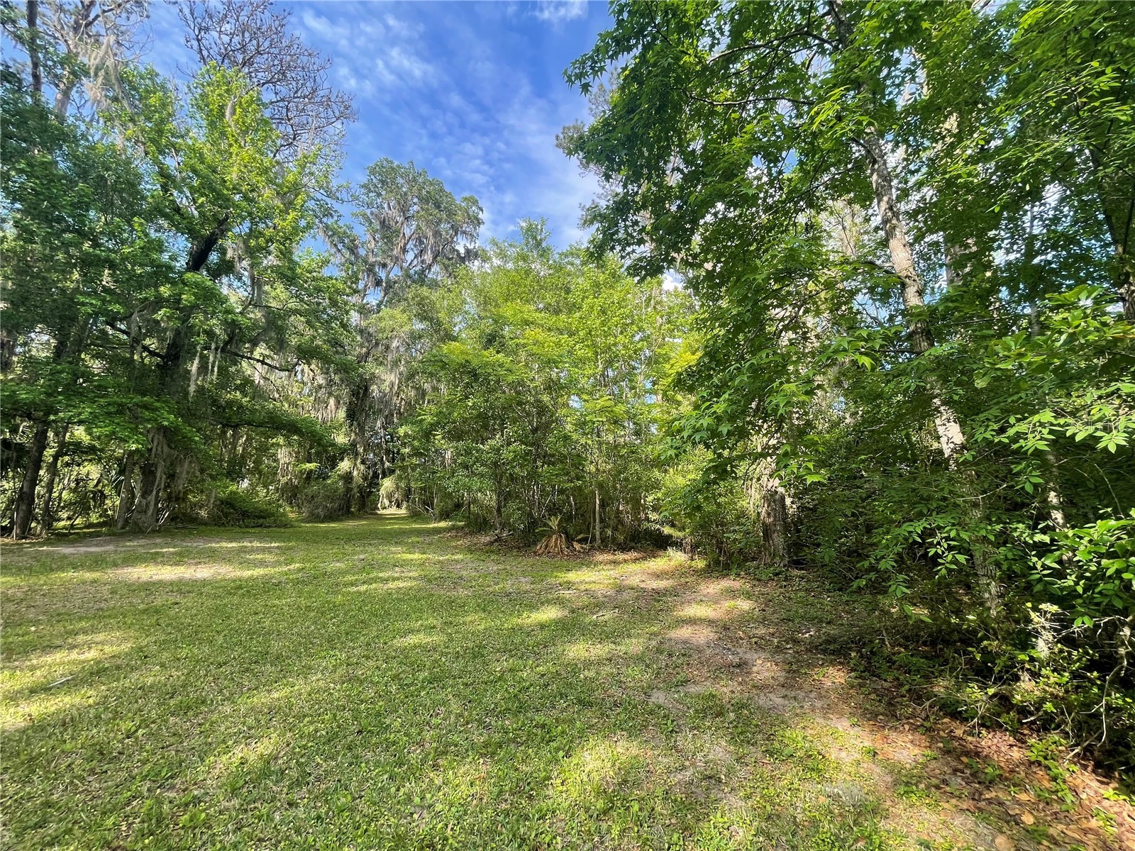 TBD NW 46th Street Ocala FL 34482 OM721863 image4