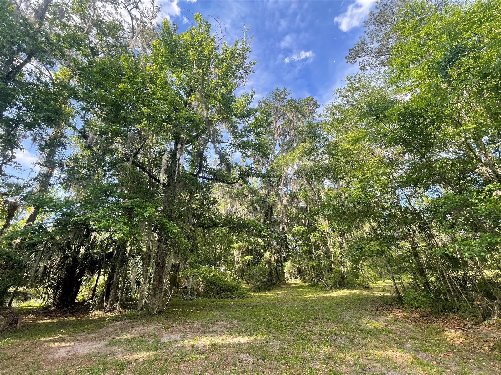 TBD NW 46th Street Ocala FL 34482 OM721863 image5