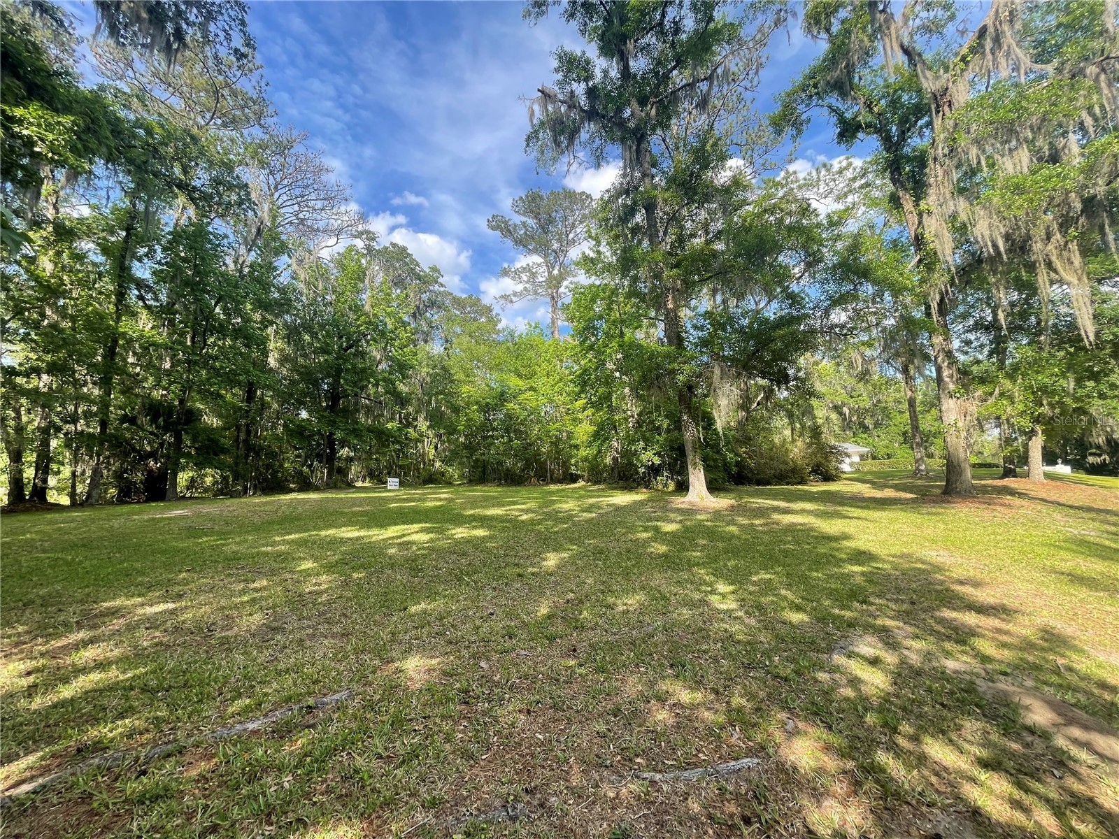 TBD NW 46th Street Ocala FL 34482 OM721863 image6