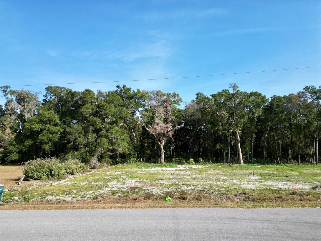 TBD NW 47th Avenue Ocala FL 34482 OM714086 image11