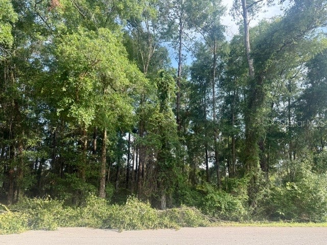 TBD NW 47th Place Ocala FL 34482 J1002262 image1