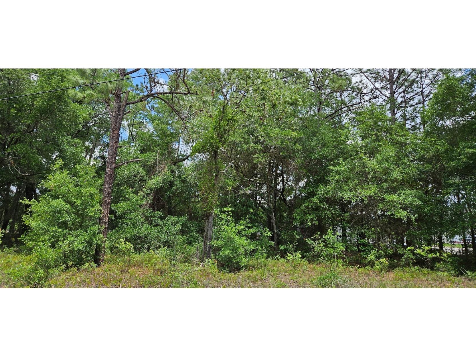 TBD NW 52nd Avenue Ocala FL 34482 OM701929 image3