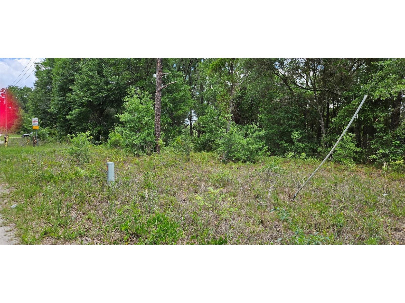 TBD NW 52nd Avenue Ocala FL 34482 OM701929 image4