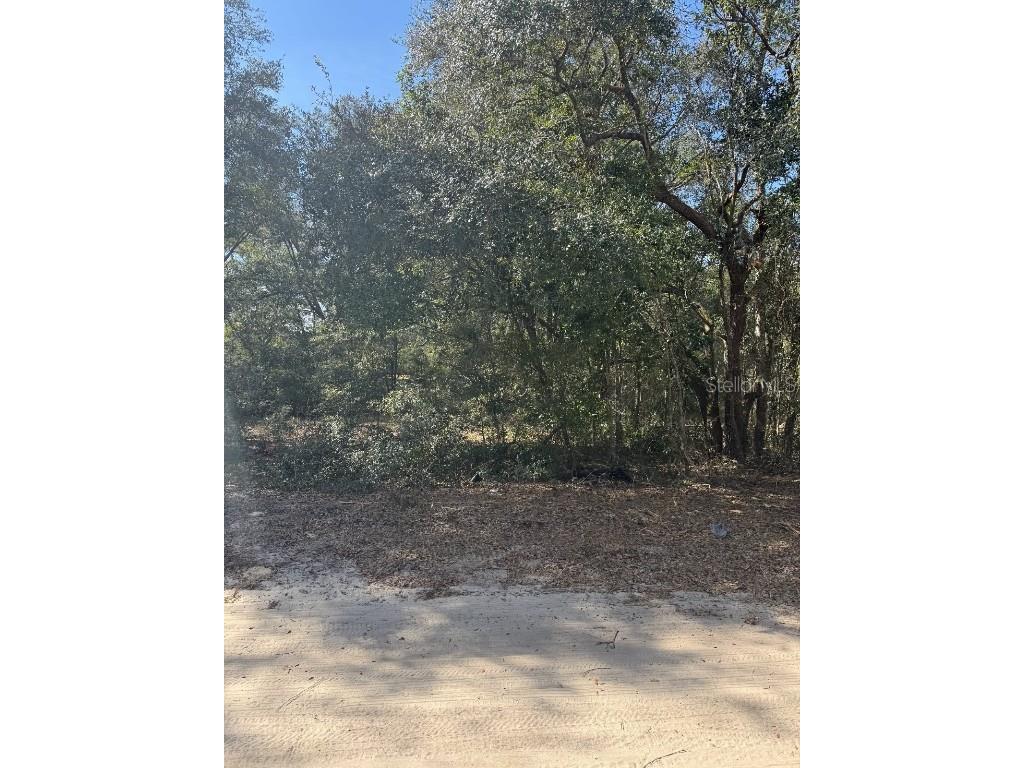TBD NW 52nd Court Ocala FL 34482 OM695003 image1