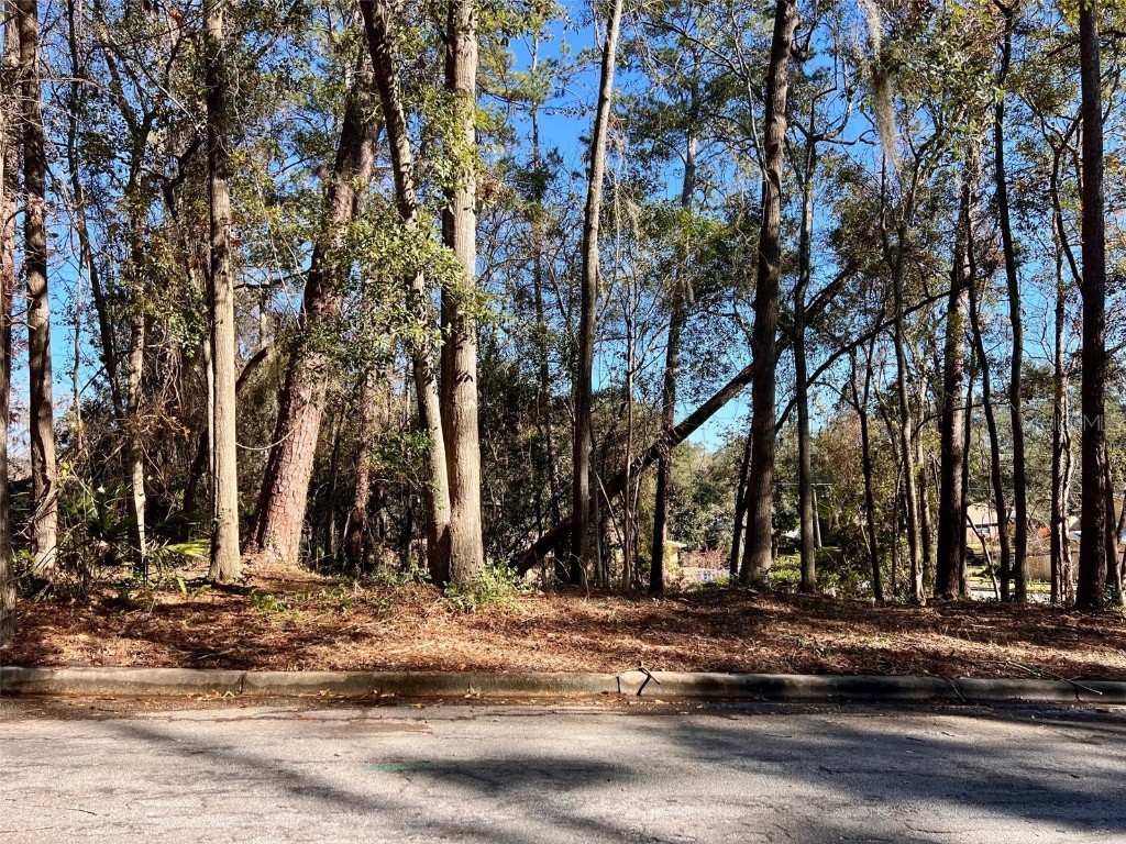 TBD NW 52nd Terrace Gainesville FL 32605 GC526018 image6