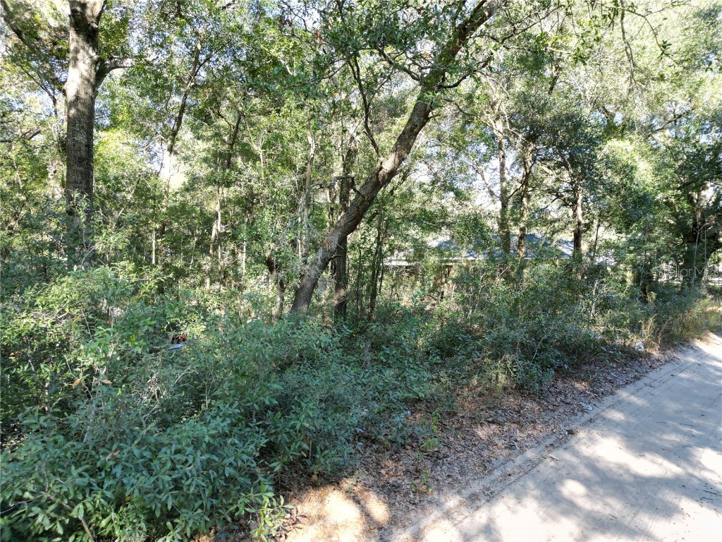 TBD NW 56th Court Ocala FL 34482 OM689863 image2