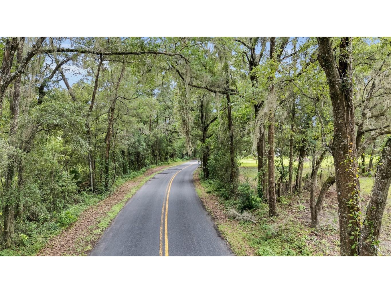 TBD NW 56th Street Ocala FL 34475 OM700866 image17