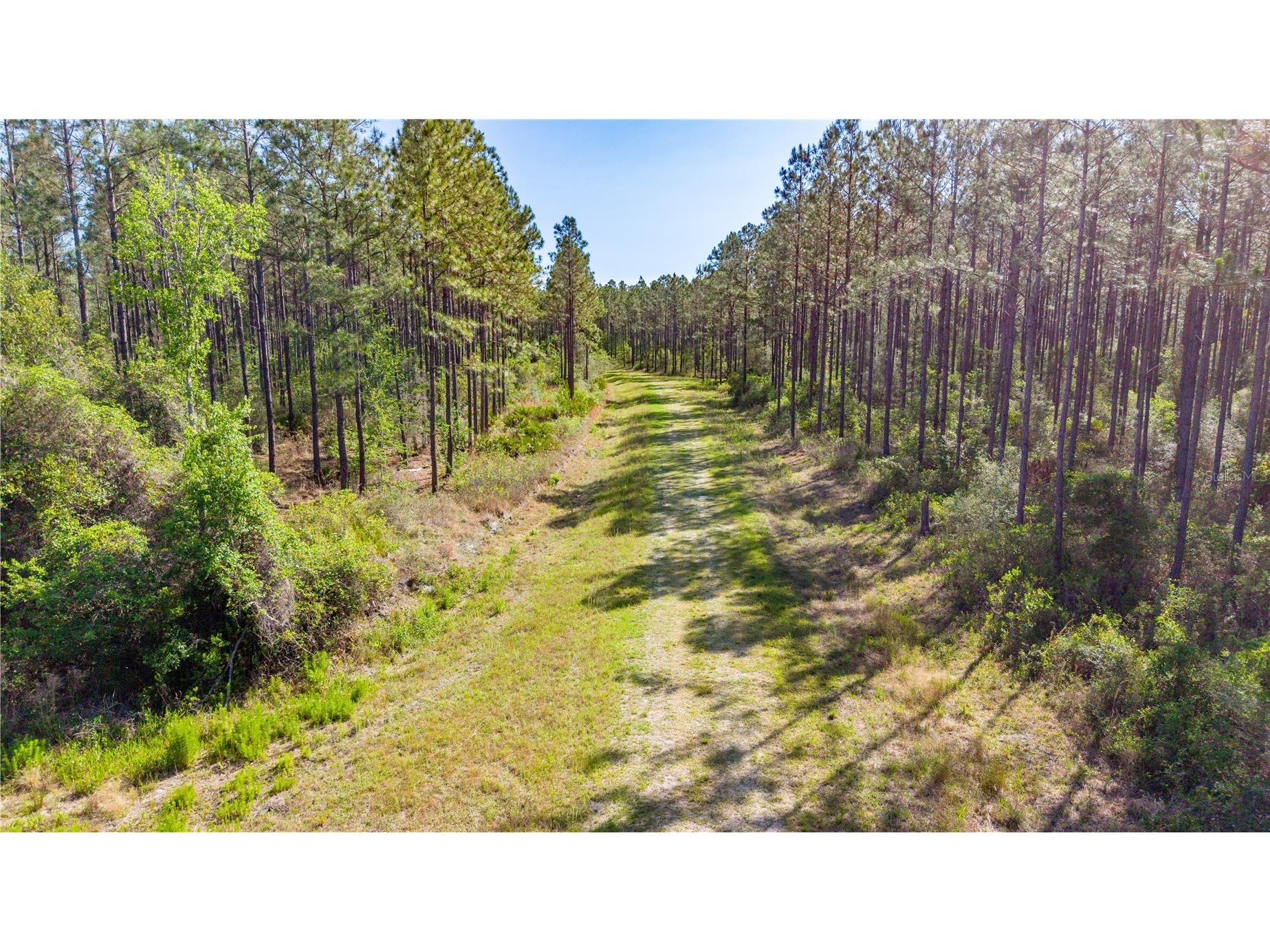 TBD Nw 57th Lane Starke FL 32091 GC540116 image4