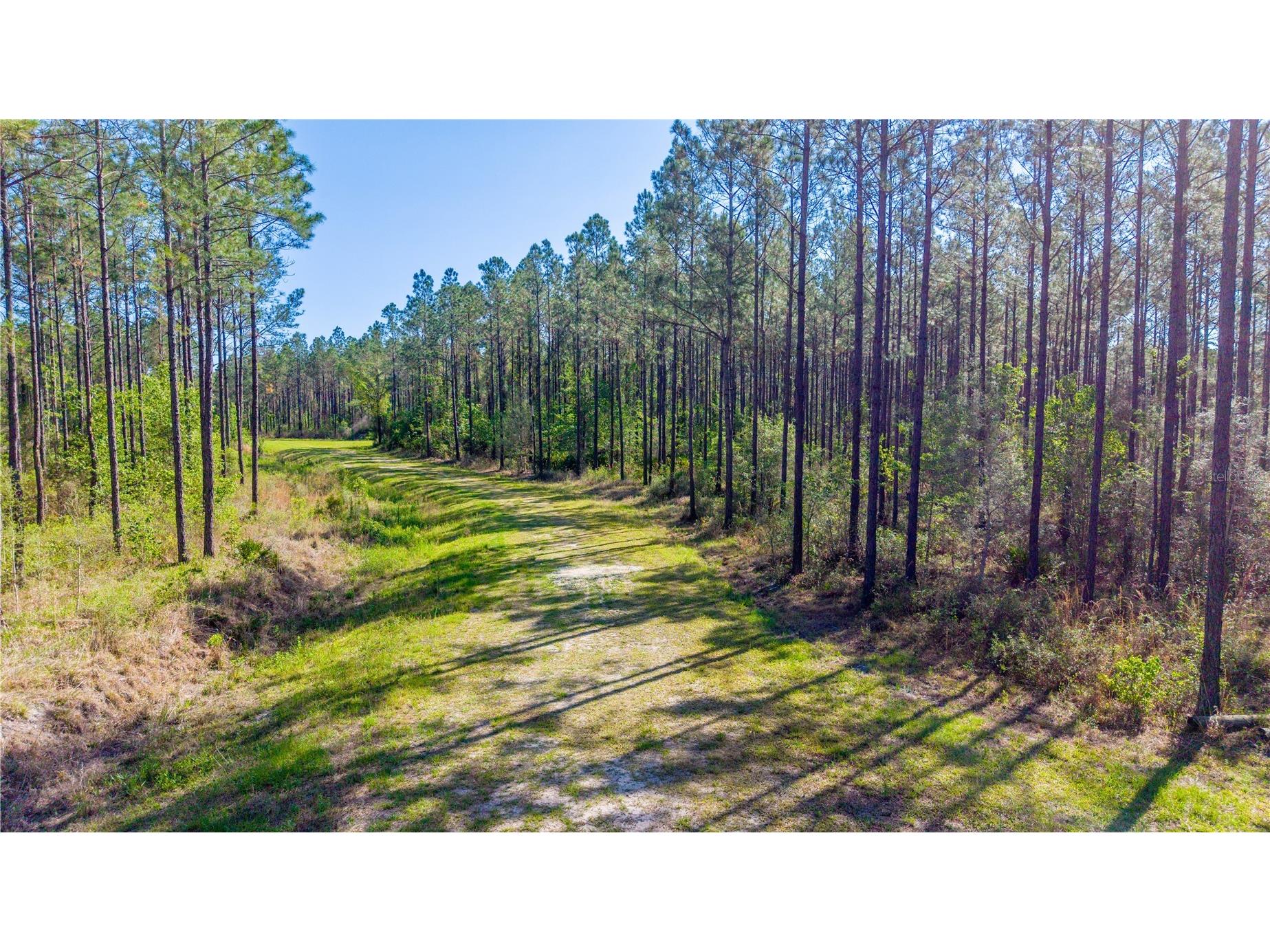 TBD Nw 57th Lane Starke FL 32091 GC540116 image5