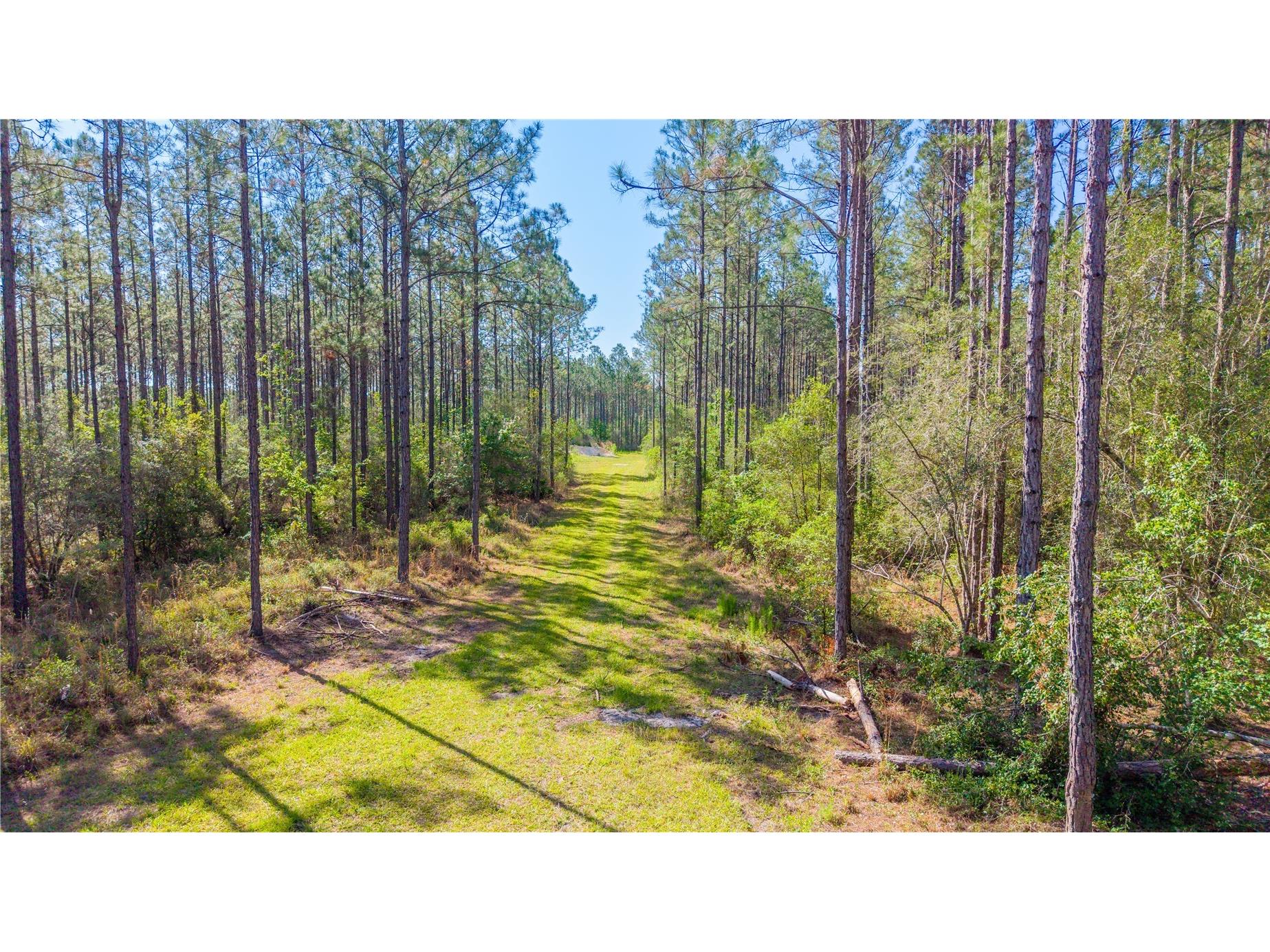 TBD Nw 57th Lane Starke FL 32091 GC540116 image6