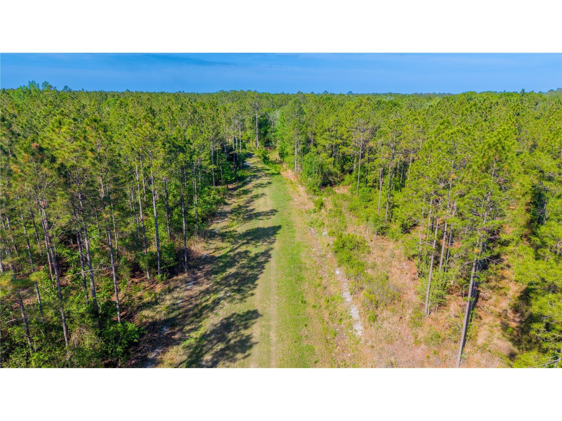 TBD Nw 57th Lane Starke FL 32091 GC540116 image7