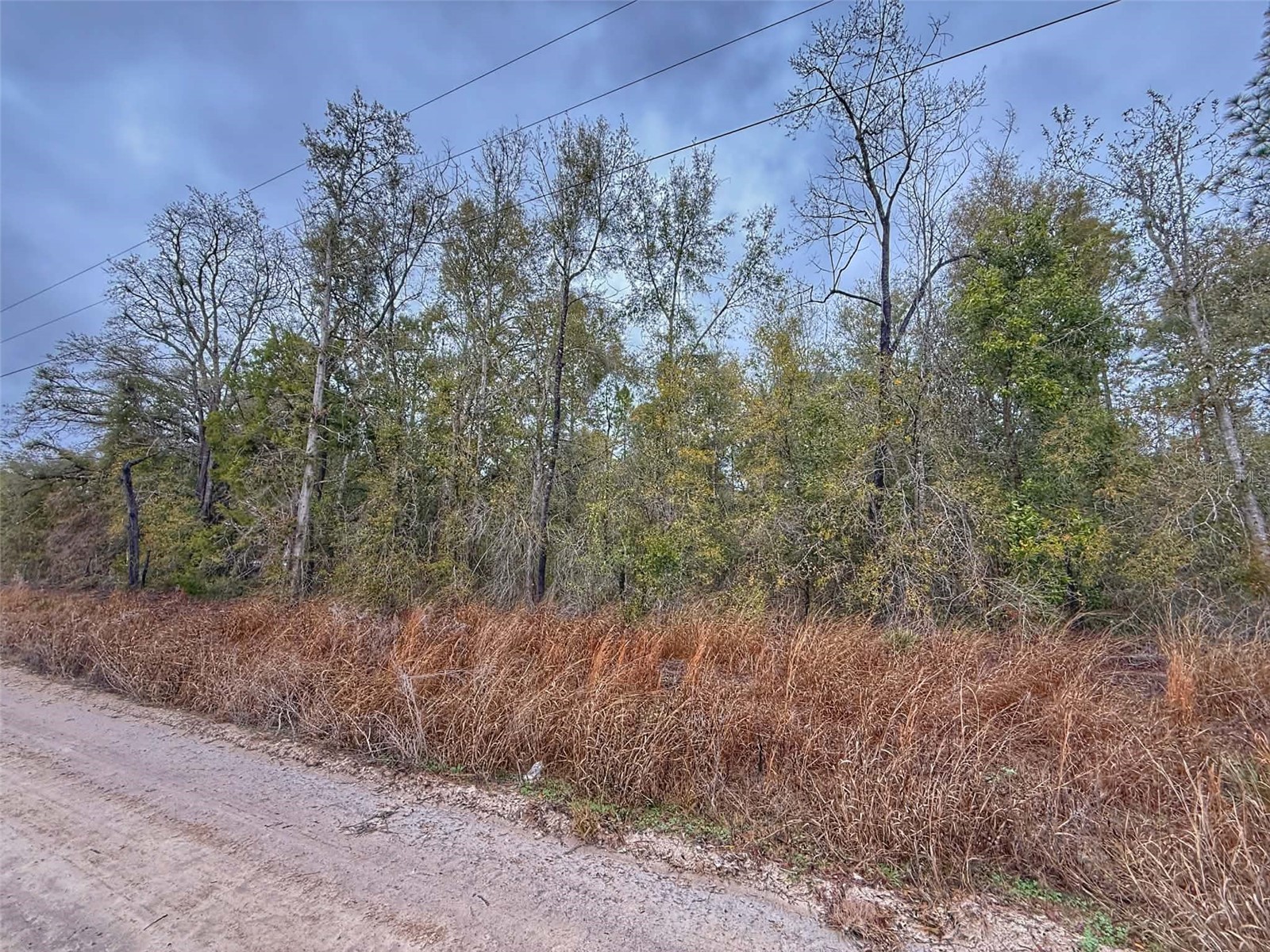 TBD NW 60 Street NW Bell FL 32619 GC537593 image1