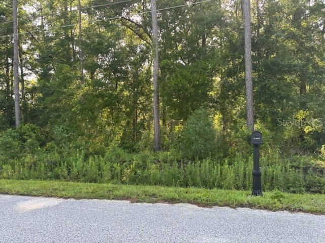 TBD NW 60th Terr Ocala FL 34482 OM707448 image1