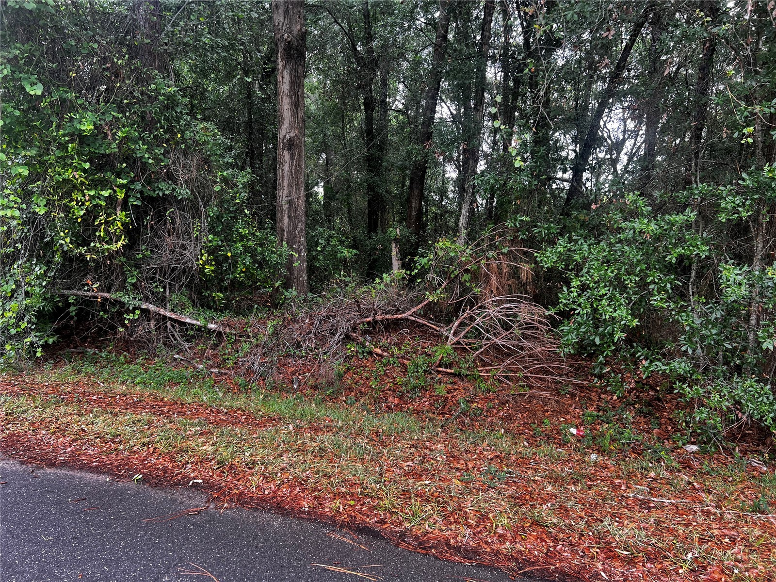 TBD NW 61st Ln. Ocala FL 34482 OM724848 image1