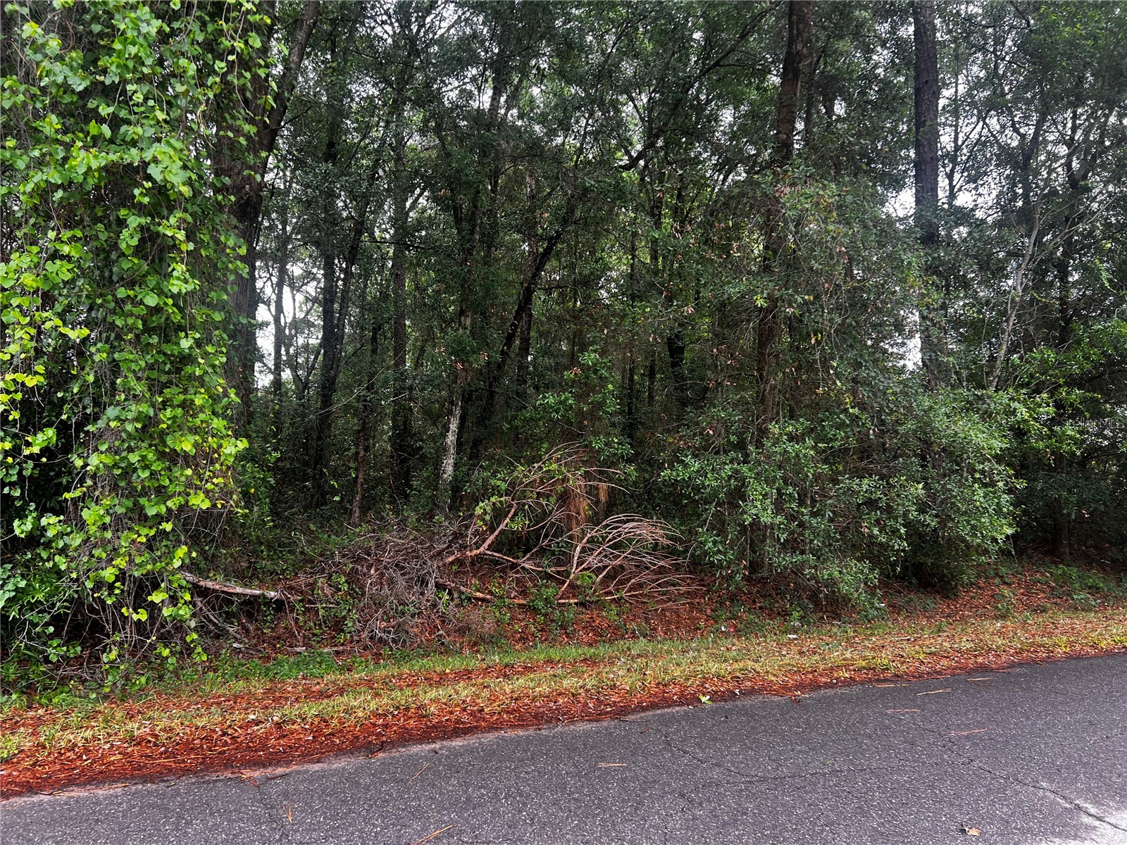 TBD NW 61st Ln. Ocala FL 34482 OM724848 image11