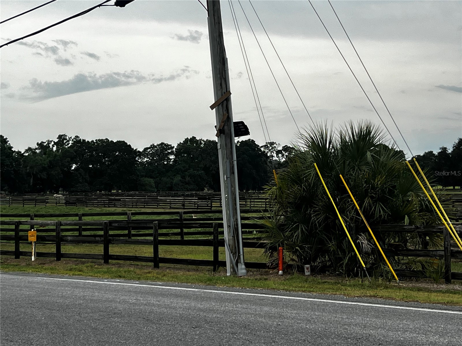 TBD NW 61st Ln. Ocala FL 34482 OM724848 image18