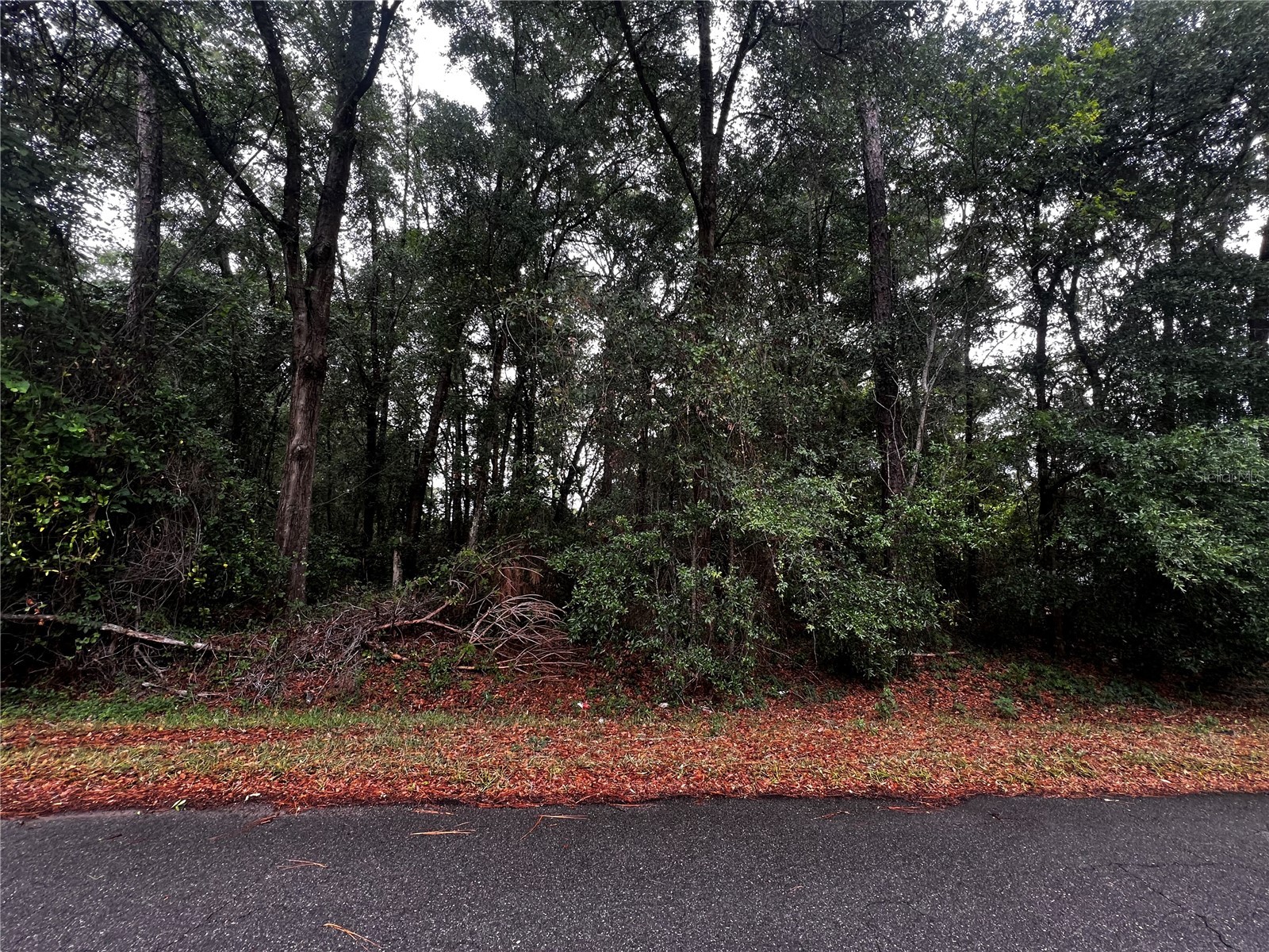 TBD NW 61st Ln. Ocala FL 34482 OM724848 image2