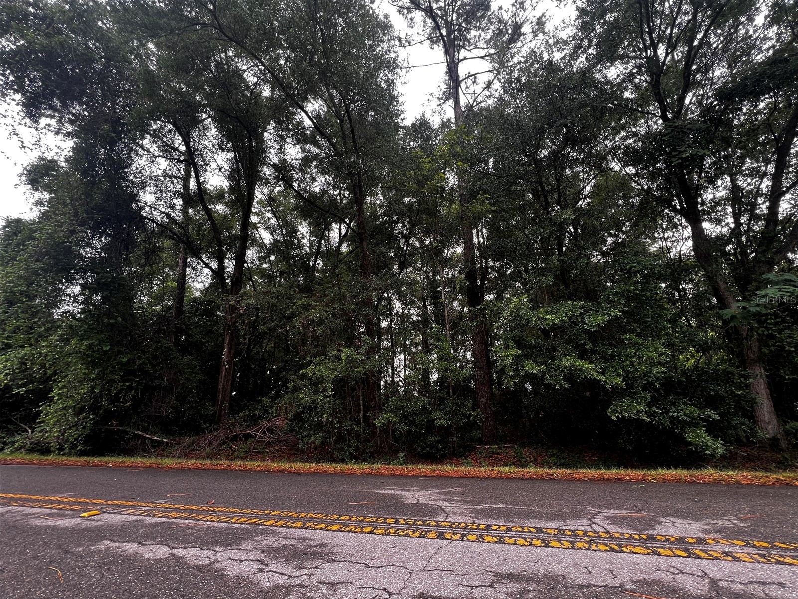 TBD NW 61st Ln. Ocala FL 34482 OM724848 image3