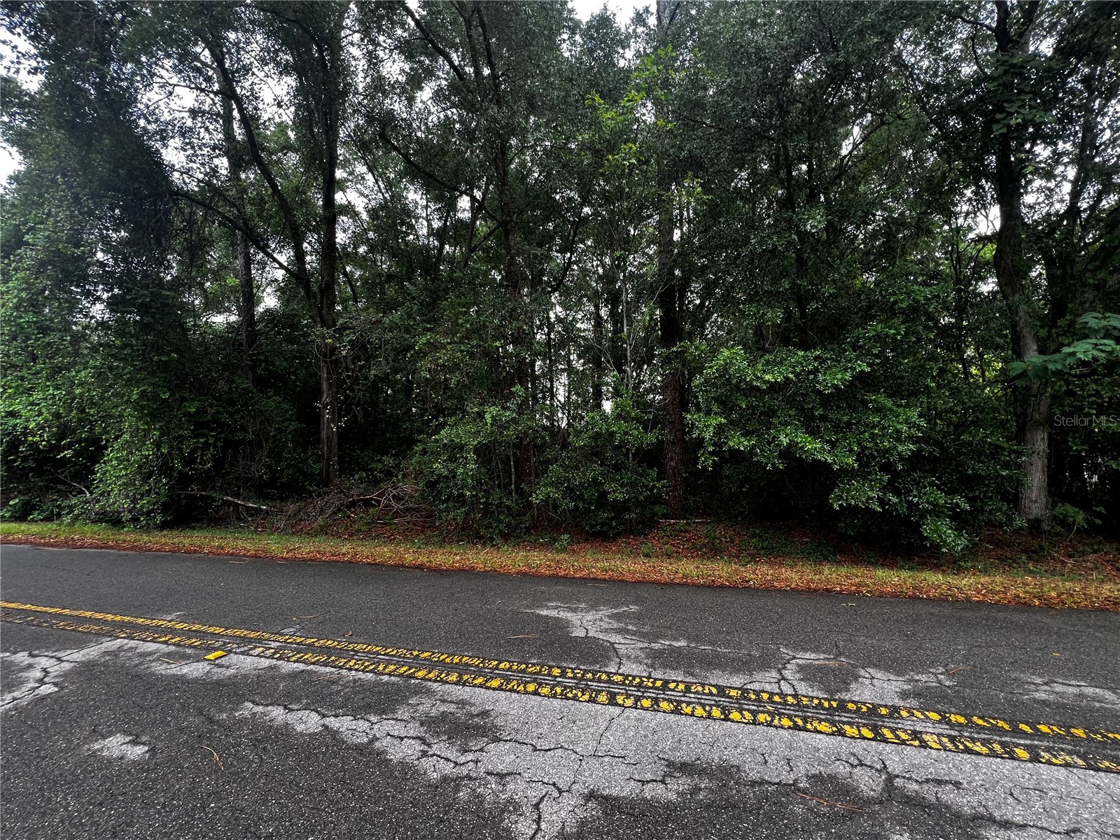 TBD NW 61st Ln. Ocala FL 34482 OM724848 image4