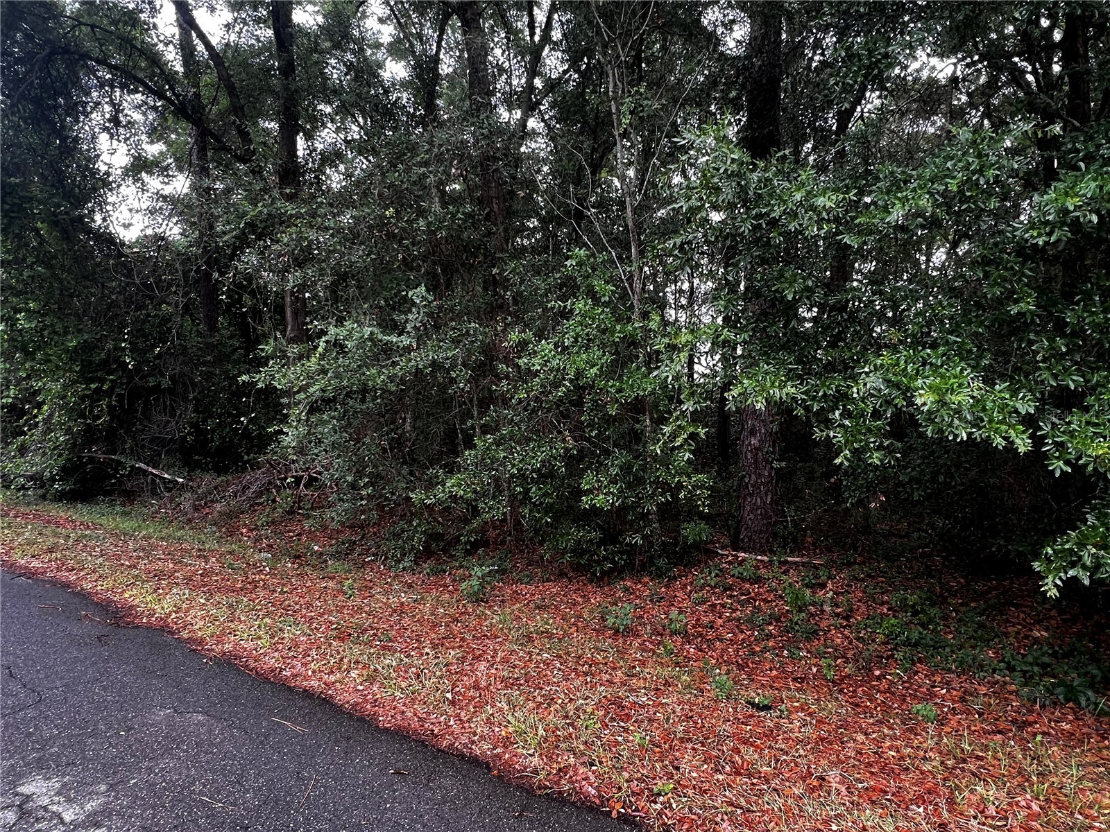 TBD NW 61st Ln. Ocala FL 34482 OM724848 image5
