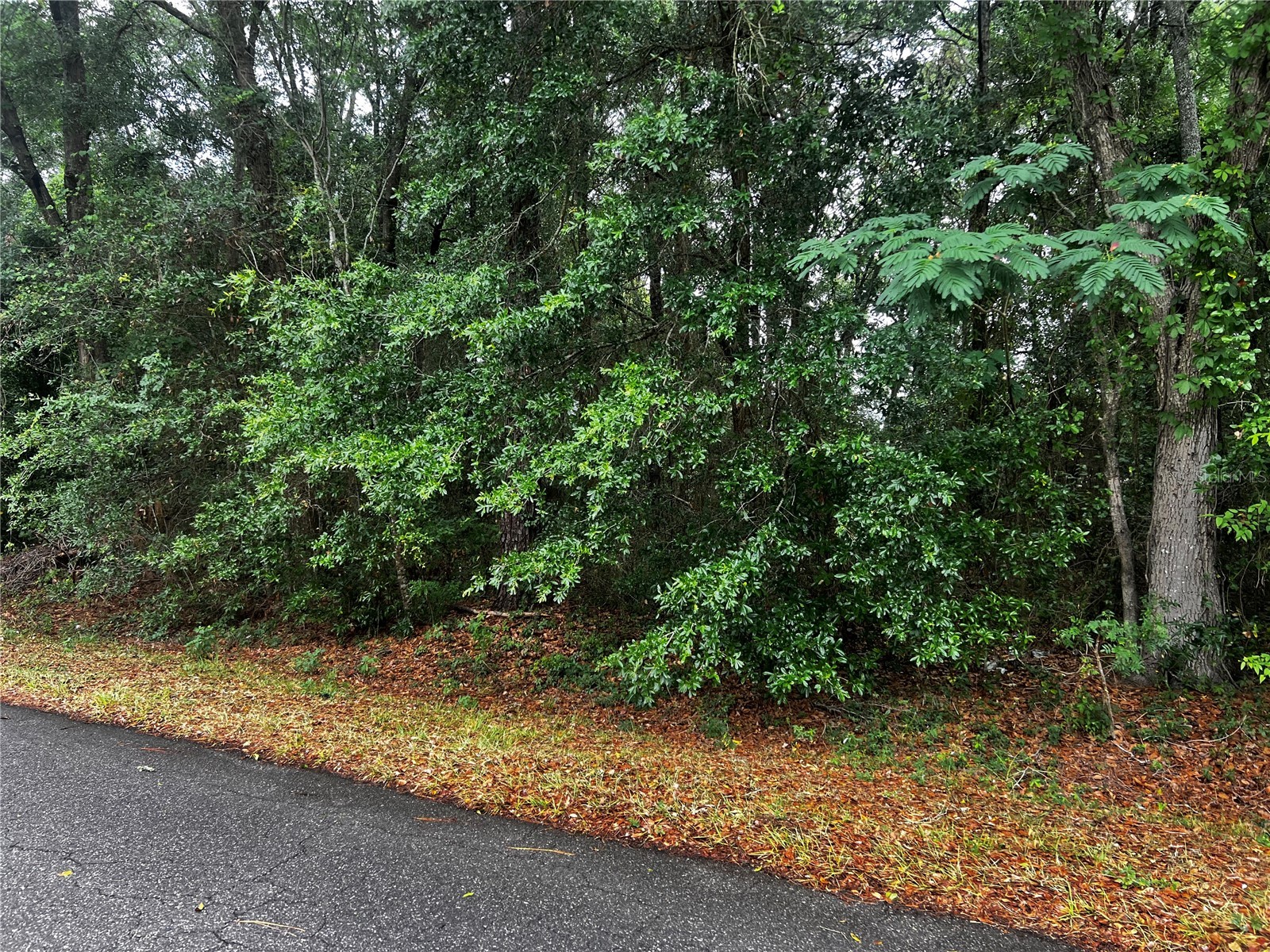 TBD NW 61st Ln. Ocala FL 34482 OM724848 image7