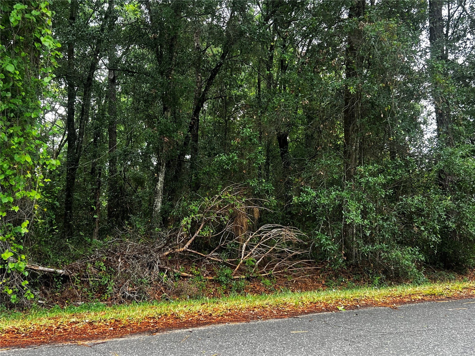 TBD NW 61st Ln. Ocala FL 34482 OM724848 image9