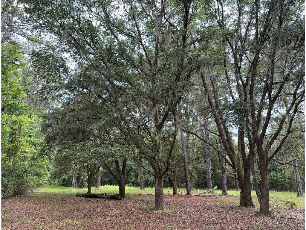 TBD NW 67th Boulevard Alachua FL 32615 GC531600 image10