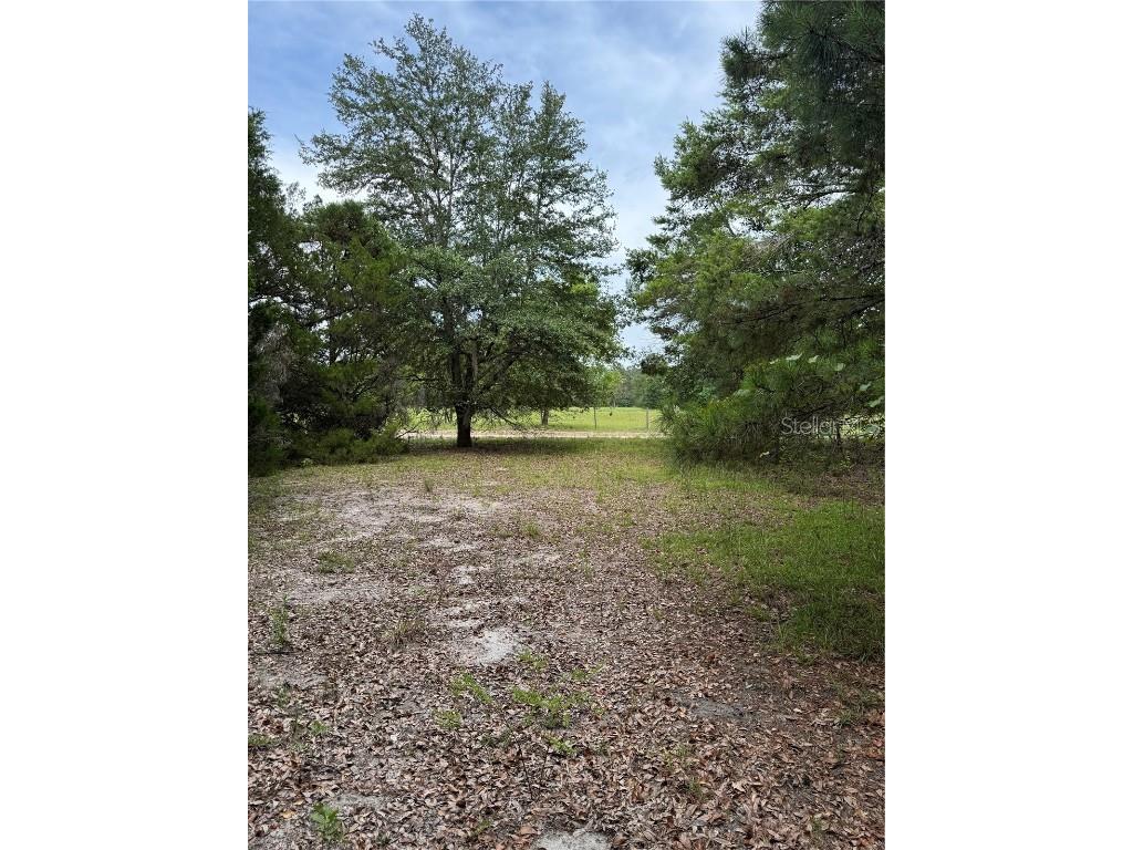 TBD NW 67th Boulevard Alachua FL 32615 GC531600 image11