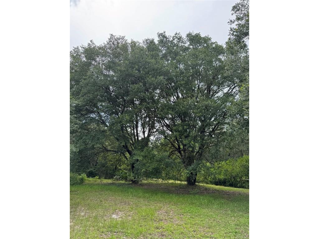 TBD NW 67th Boulevard Alachua FL 32615 GC531600 image13