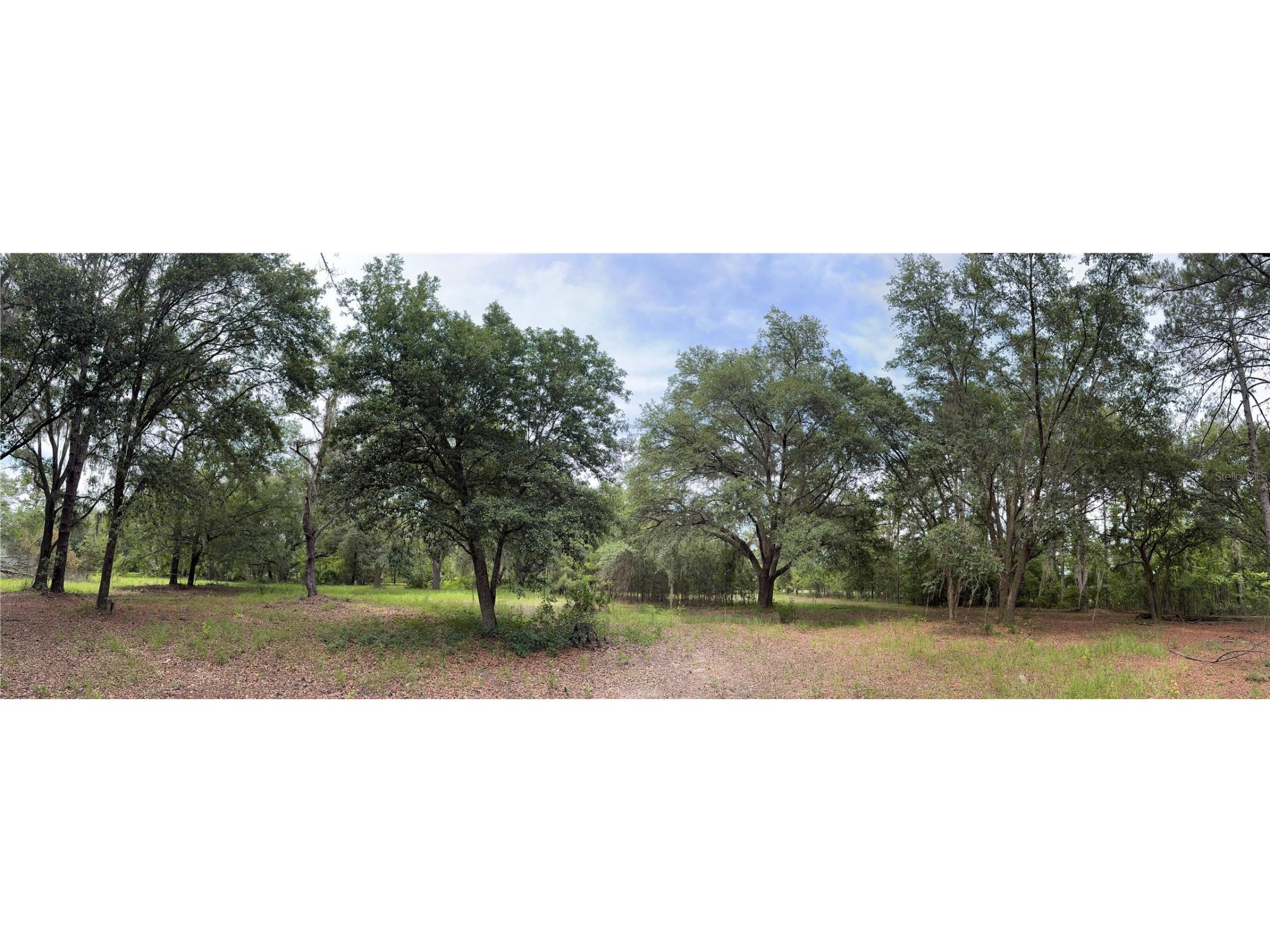 TBD NW 67th Boulevard Alachua FL 32615 GC531600 image16