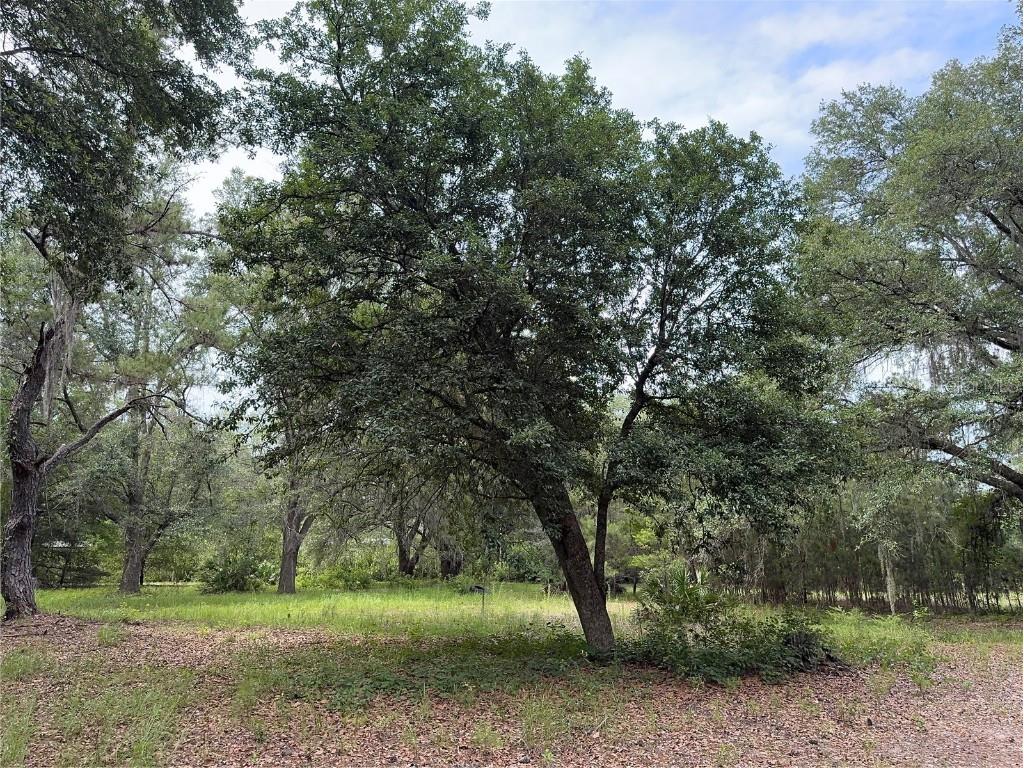 TBD NW 67th Boulevard Alachua FL 32615 GC531600 image17