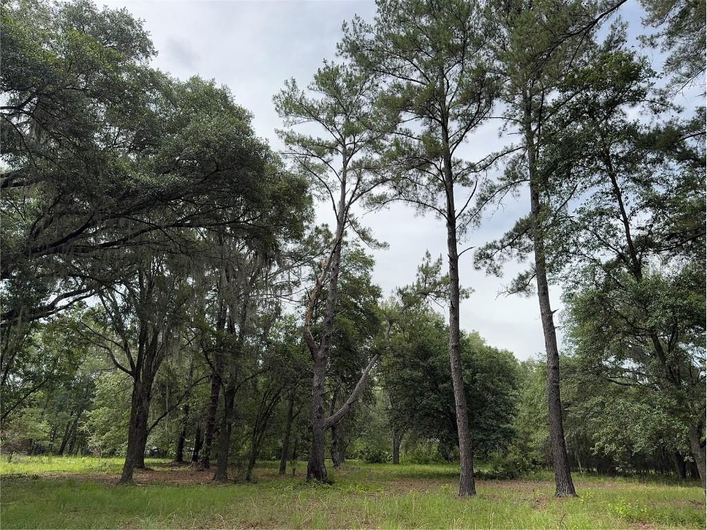 TBD NW 67th Boulevard Alachua FL 32615 GC531600 image18