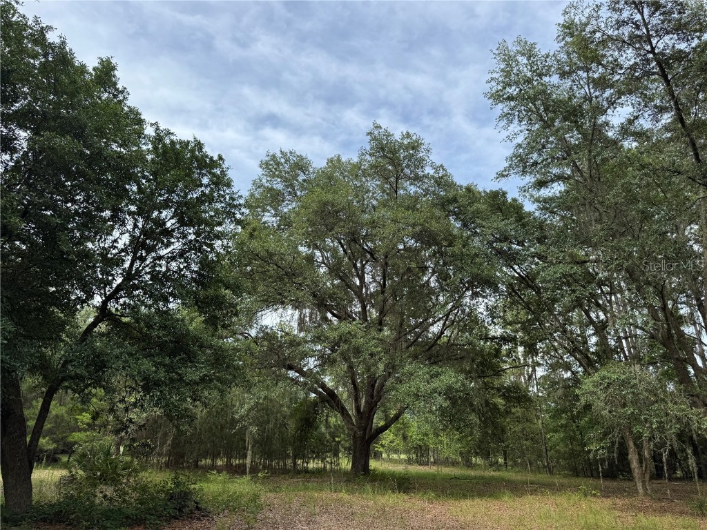 TBD NW 67th Boulevard Alachua FL 32615 GC531600 image2