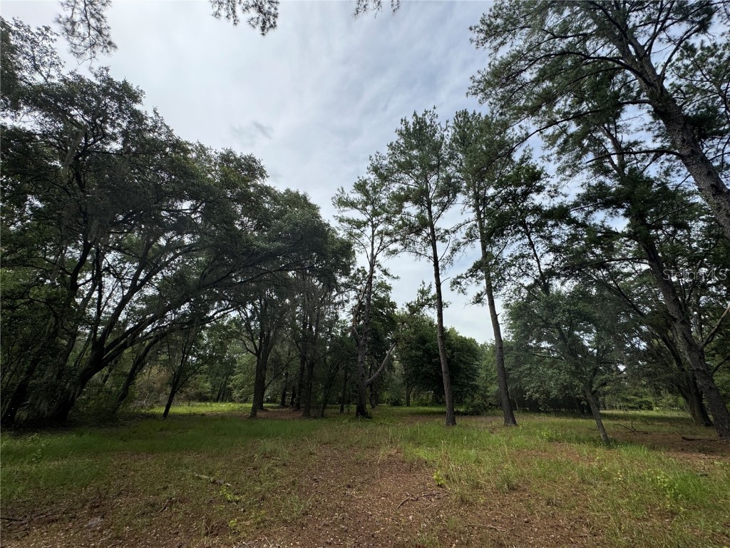 TBD NW 67th Boulevard Alachua FL 32615 GC531600 image20