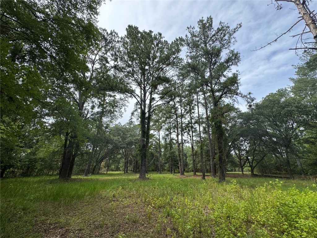 TBD NW 67th Boulevard Alachua FL 32615 GC531600 image21