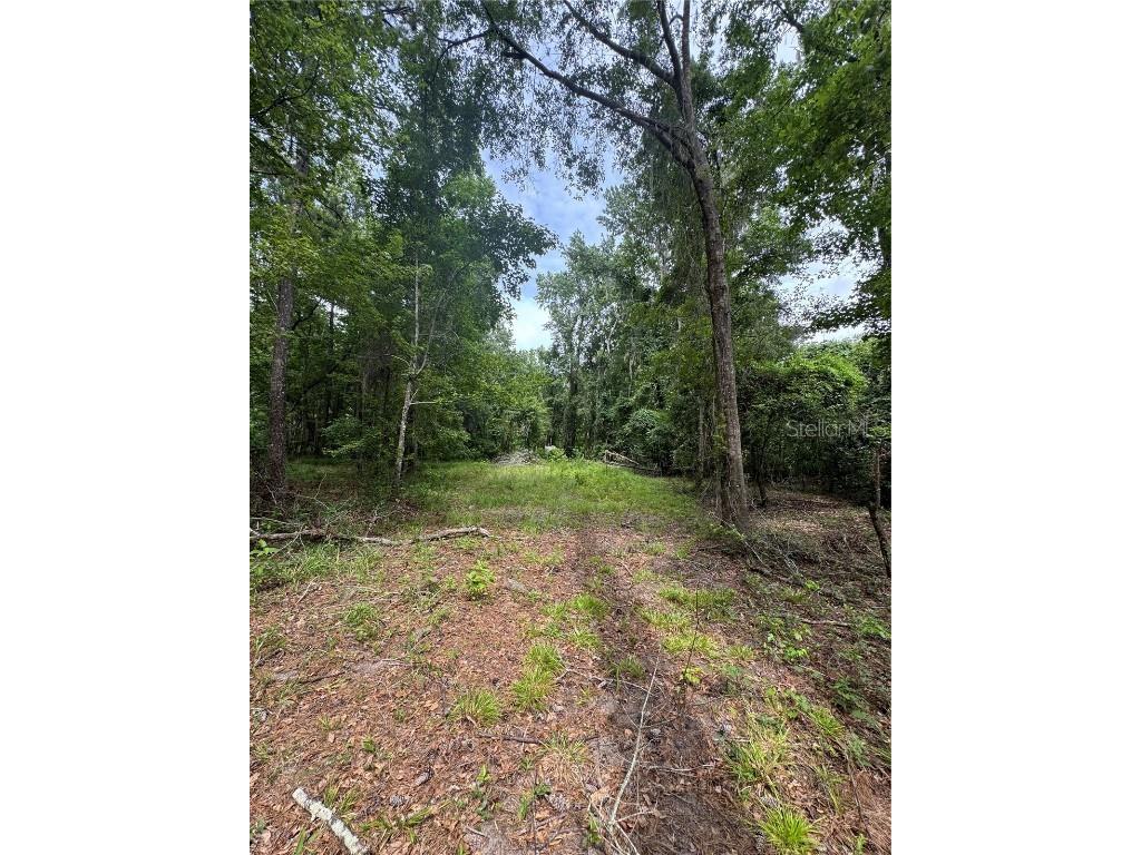 TBD NW 67th Boulevard Alachua FL 32615 GC531600 image22