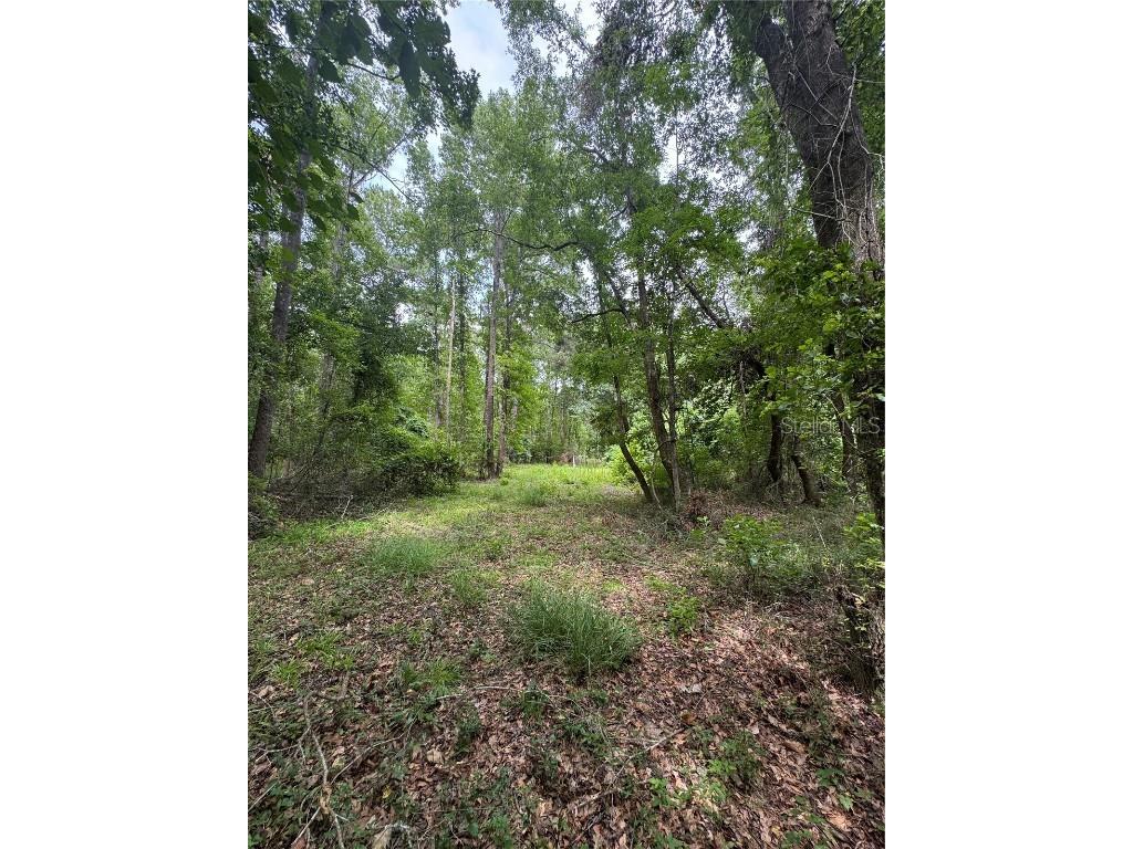 TBD NW 67th Boulevard Alachua FL 32615 GC531600 image24