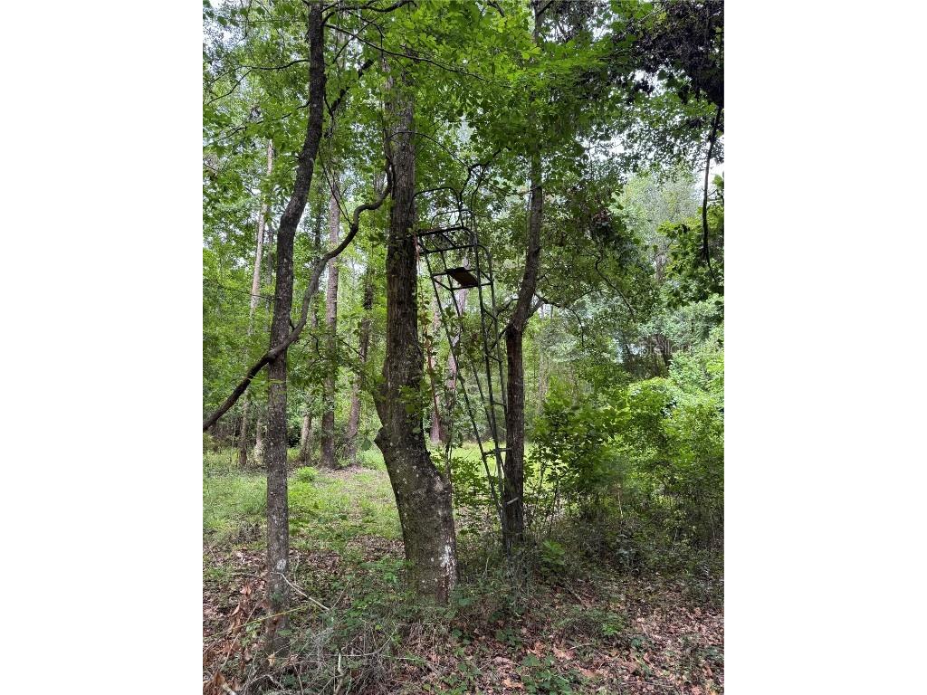 TBD NW 67th Boulevard Alachua FL 32615 GC531600 image25