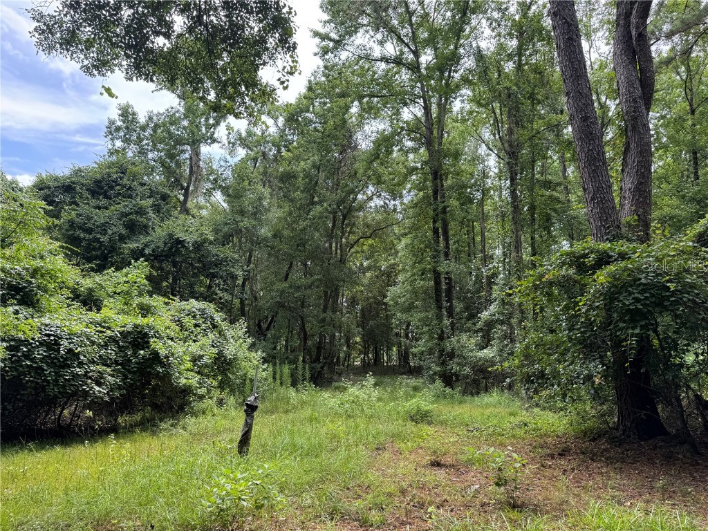 TBD NW 67th Boulevard Alachua FL 32615 GC531600 image26